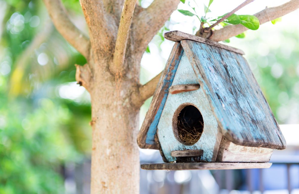 Bird House on a tree